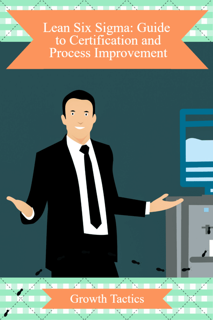 What is lean six sigma pin