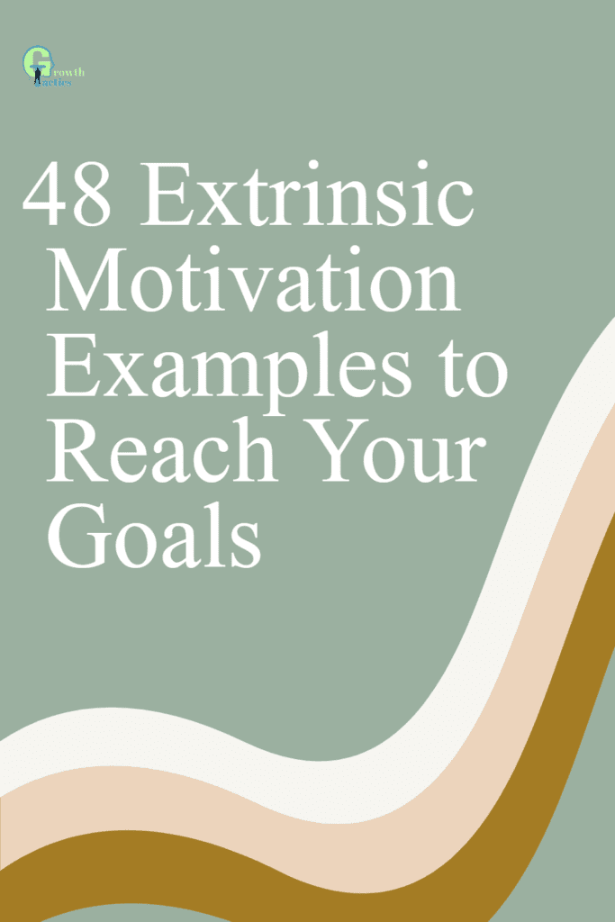 extrinsic motivation examples pin