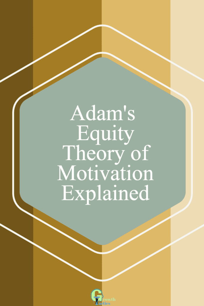 equity theory of motivation pin