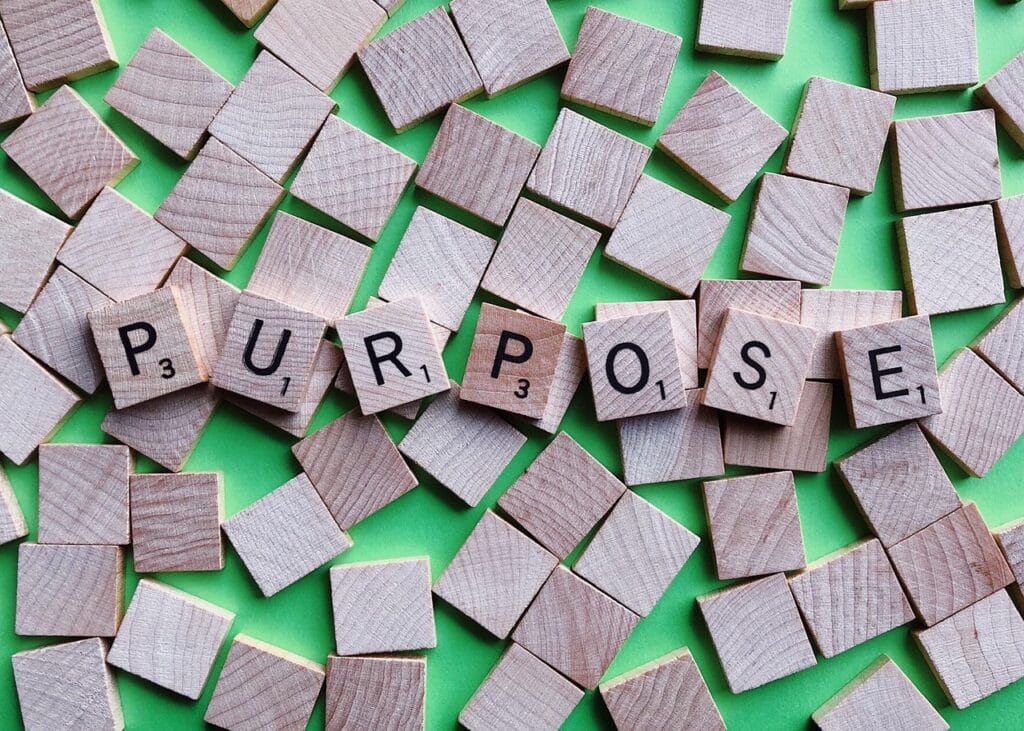purpose, intention, goal